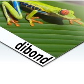 dibond z nadrukiem